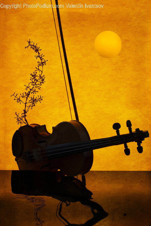 Guitar, Musical Instrument, Leisure Activities