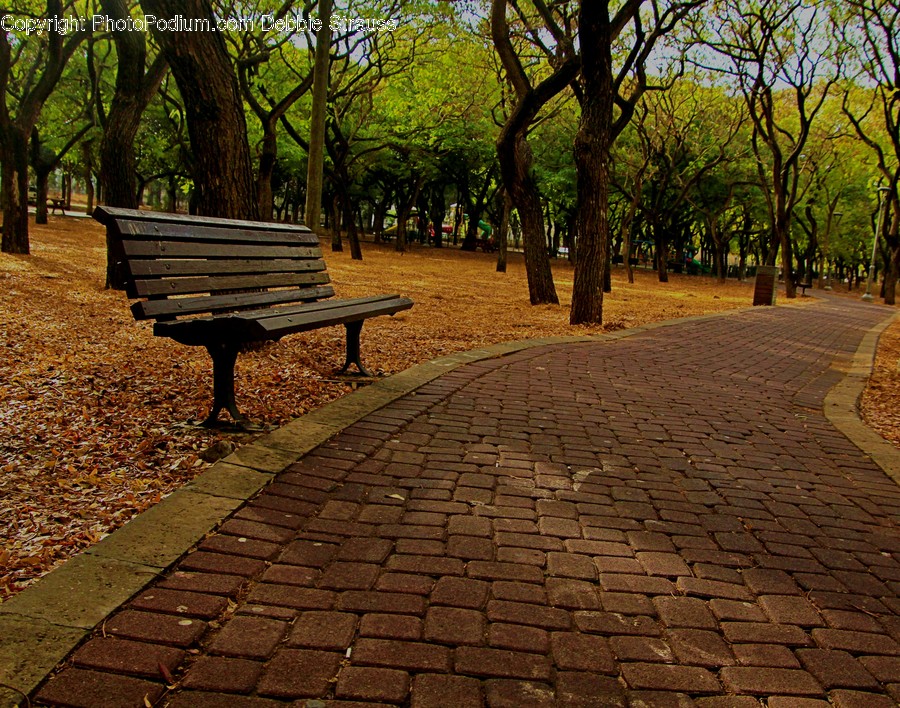 Bench, Furniture, Path, Walkway, Pavement