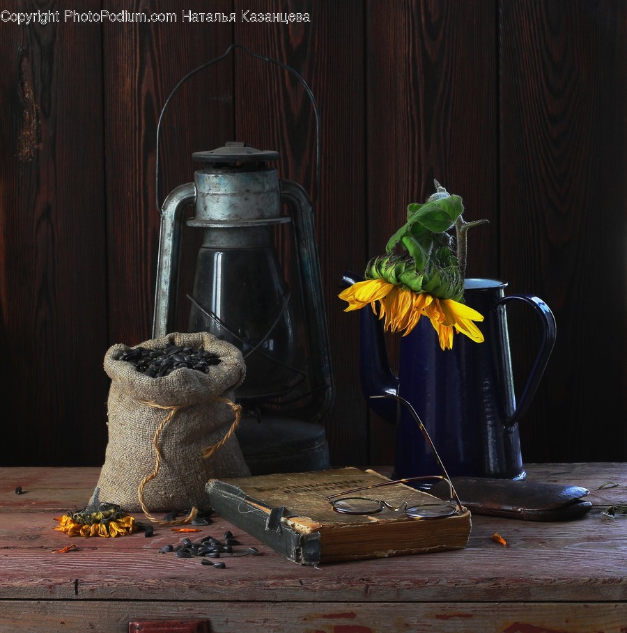 Wood, Plant, Jar, Home Decor, Leaf