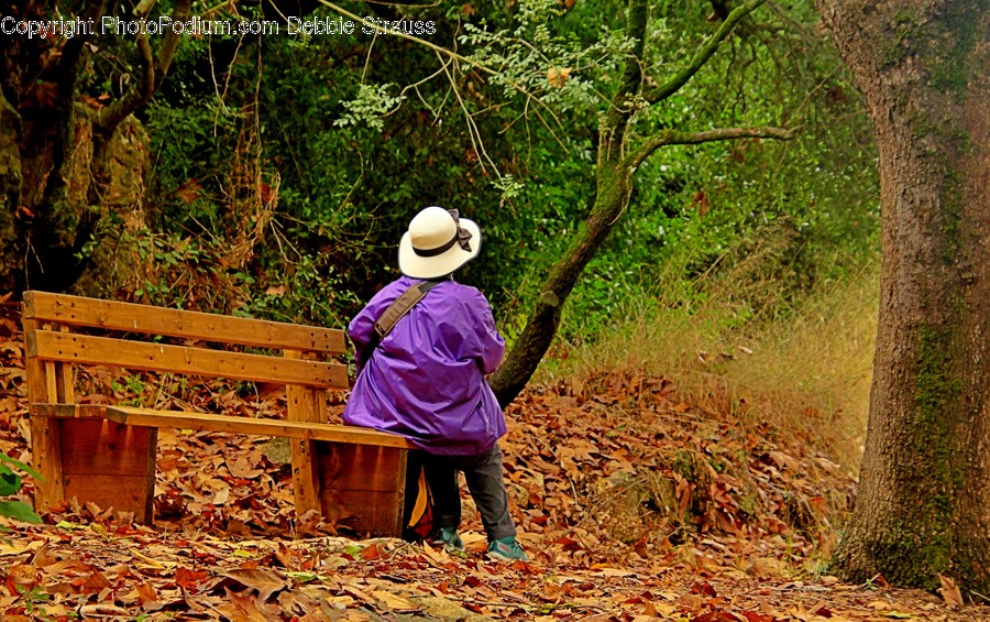 Apparel, Clothing, Bench, Furniture, Human