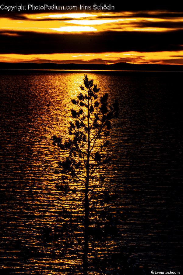 Nature, Outdoors, Flare, Light, Sunlight