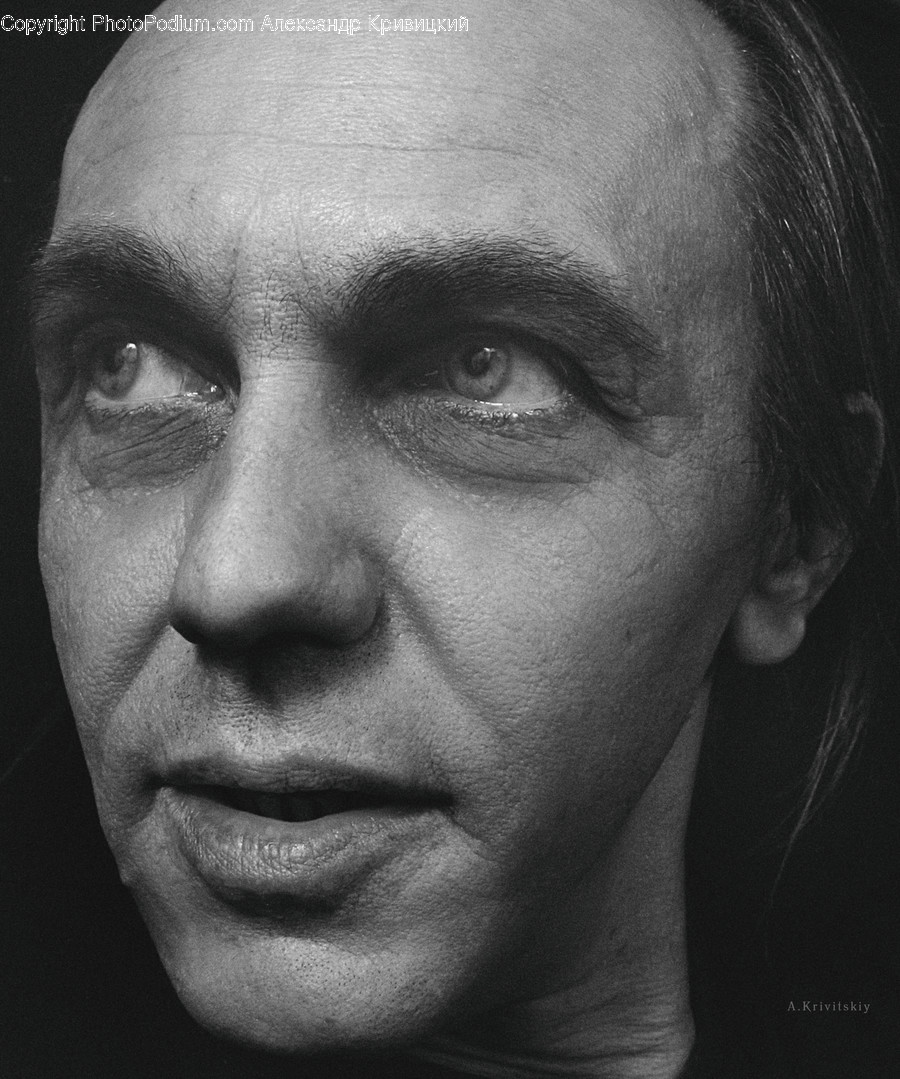 Head, Human, Person, Face, Jaw