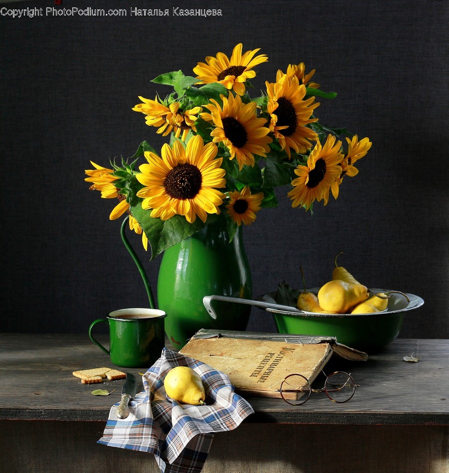 Plant, Flower, Blossom, Flower Arrangement, Flower Bouquet