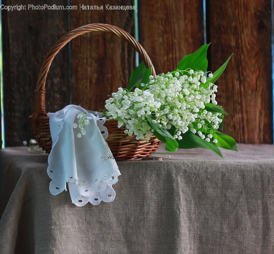 Plant, Flower, Blossom, Flower Arrangement, Pottery
