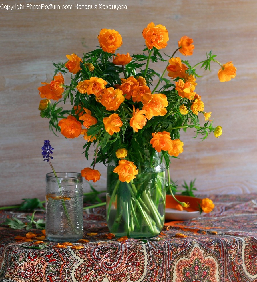 Plant, Flower, Blossom, Flower Arrangement, Flower Bouquet