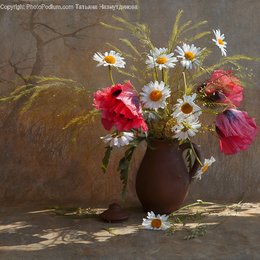 Plant, Flower, Blossom, Flower Bouquet, Flower Arrangement