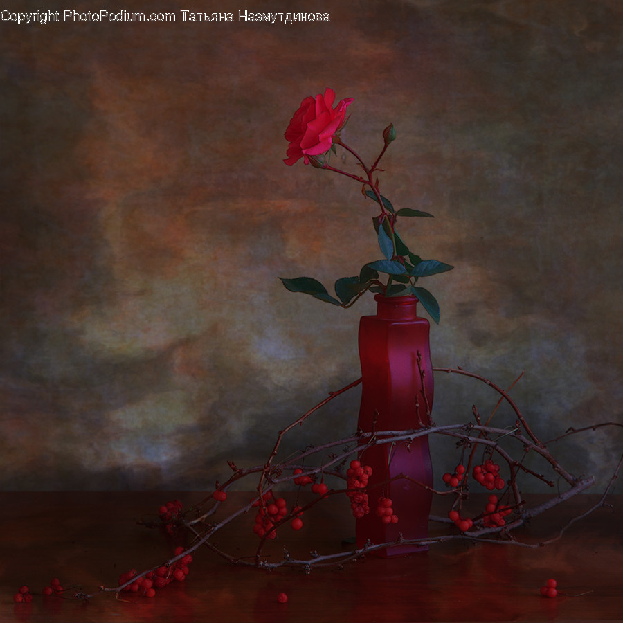Vase, Jar, Pottery, Ornament, Blossom