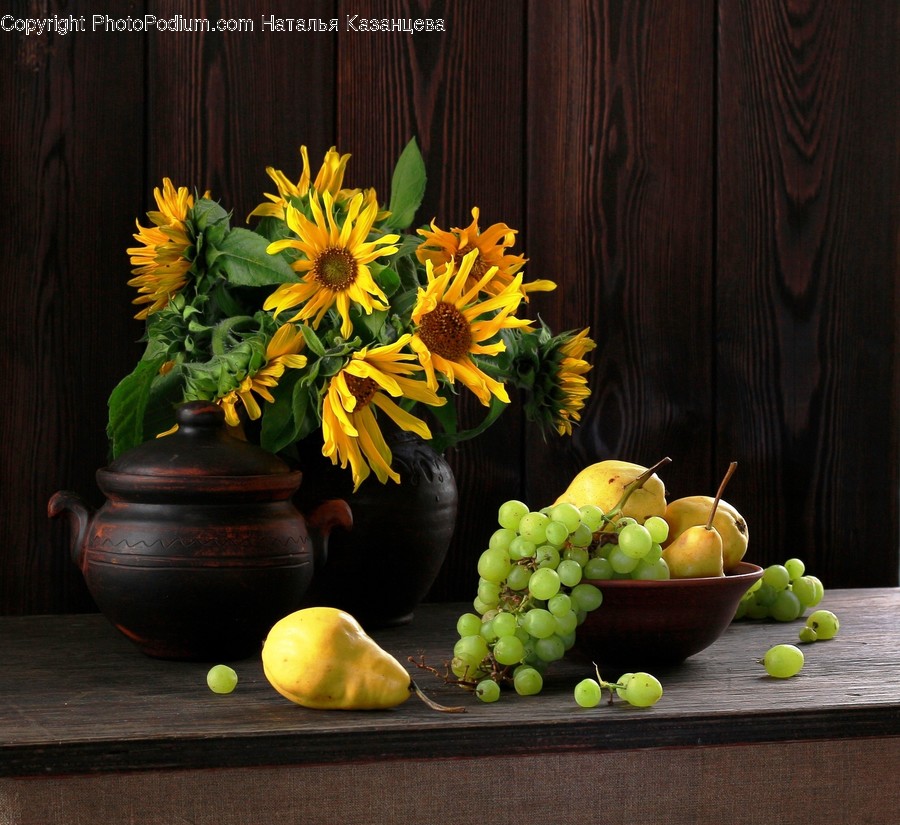 Plant, Fruit, Food, Grapes, Flower