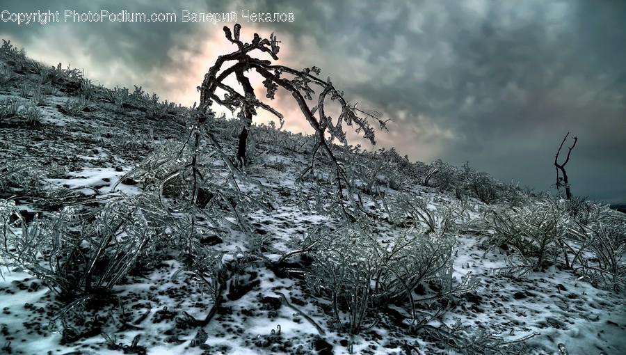 Nature, Outdoors, Ice, Weather, Snow