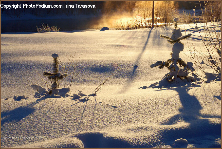 Ice, Outdoors, Snow, Birch, Tree, Wood, Sand