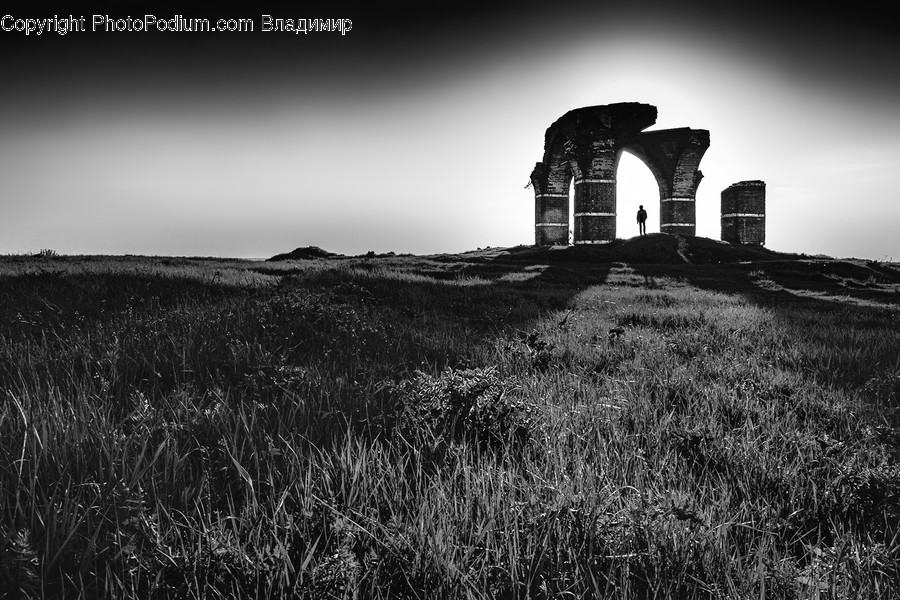 Grass, Plant, Person, Human, Ruins