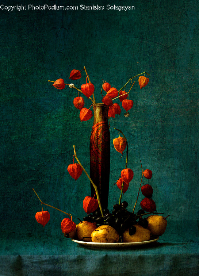 Plant, Vase, Flower Arrangement, Ornament, Ikebana
