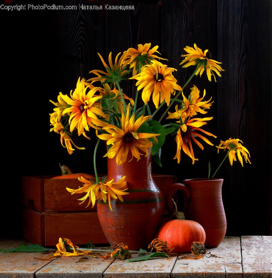 Plant, Blossom, Flower, Flower Bouquet, Flower Arrangement