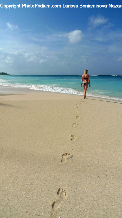 Beach, Coast, Outdoors, Sea, Water, Leisure Activities