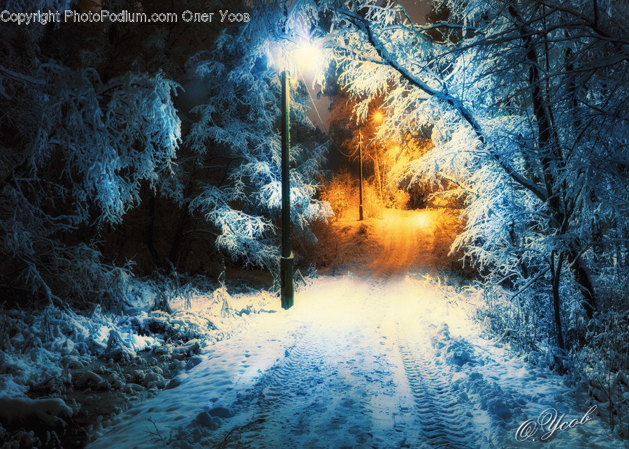 Nature, Flare, Light, Fire, Plant
