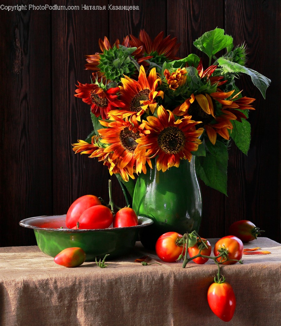 Plant, Flower Arrangement, Blossom, Flower, Flower Bouquet