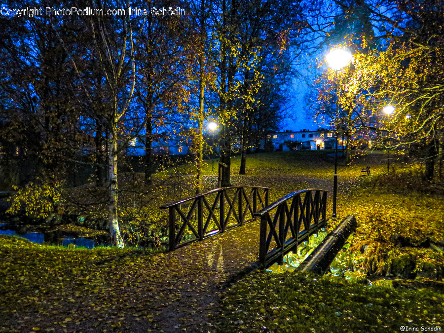 Light, Flare, Railing, Sunlight, Path