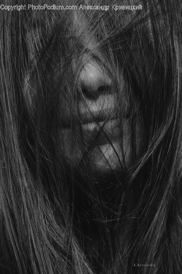 Human, Person, Face, Hair, Photo