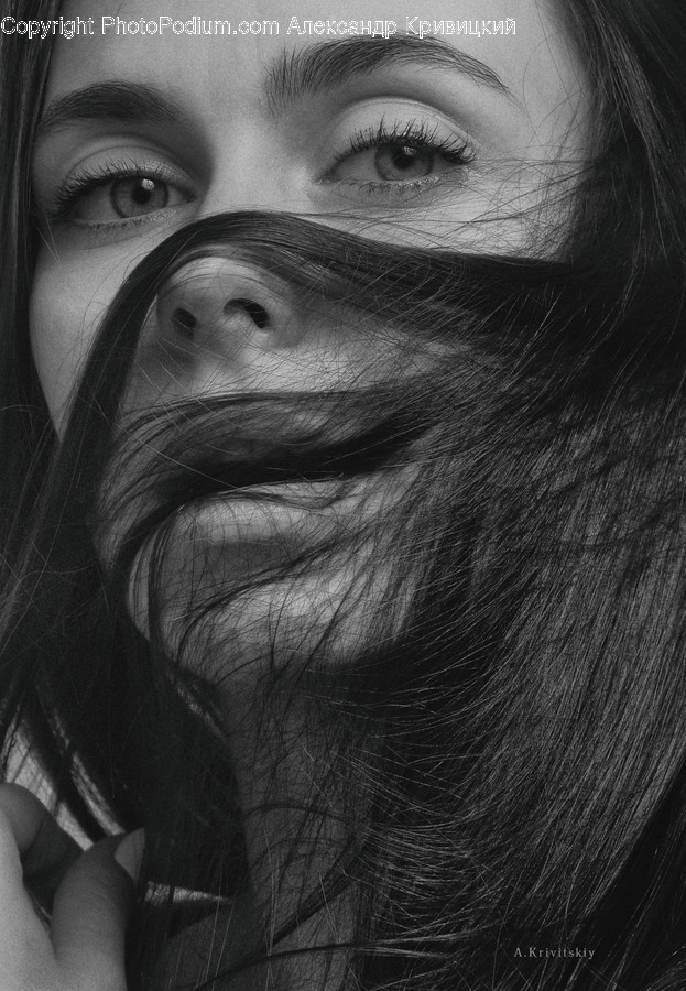 Face, Human, Person, Photography, Portrait