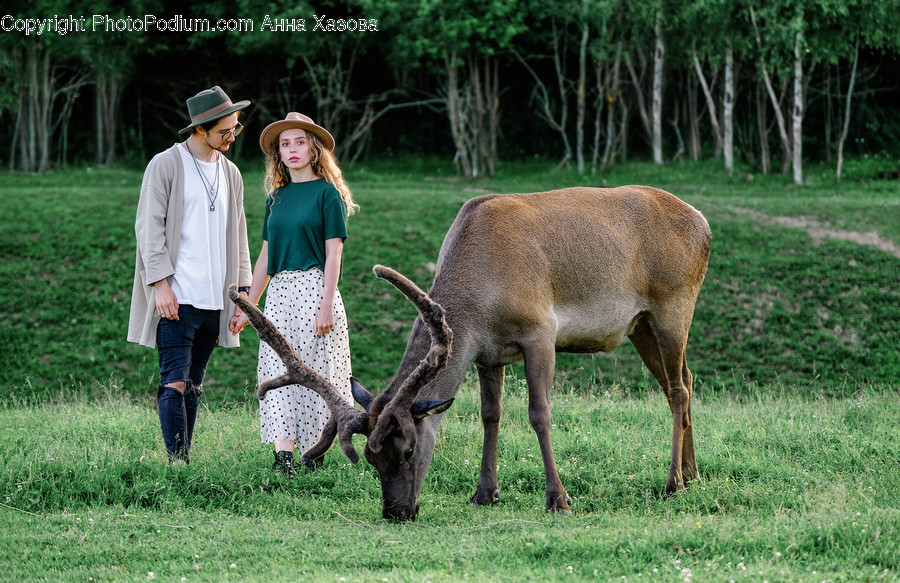 Human, Person, Animal, Wildlife, Mammal