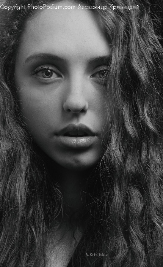 Face, Person, Human, Head, Portrait