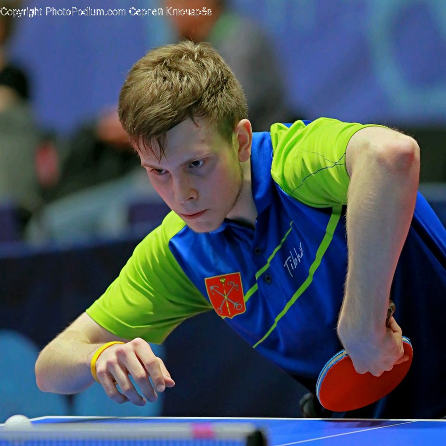 Sports, Ping Pong, Human, Person, Sport