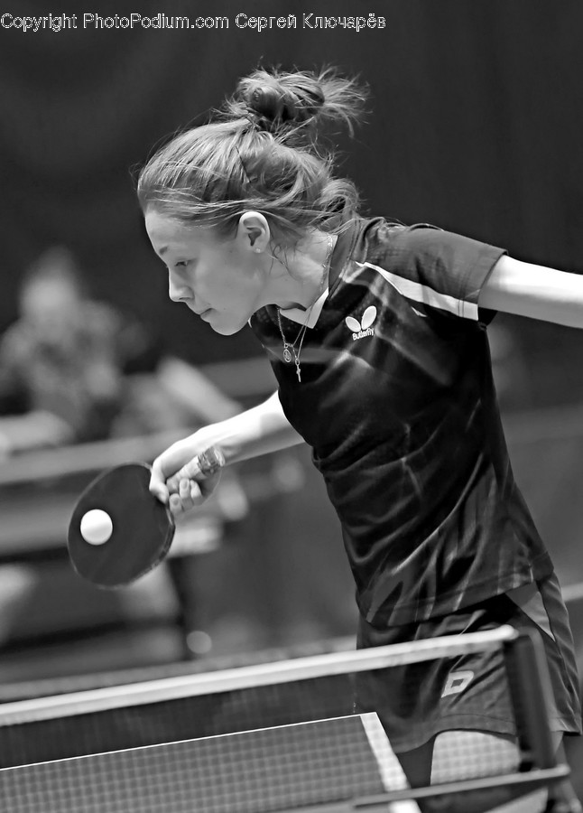 Human, Person, Ping Pong, Sport, Sports