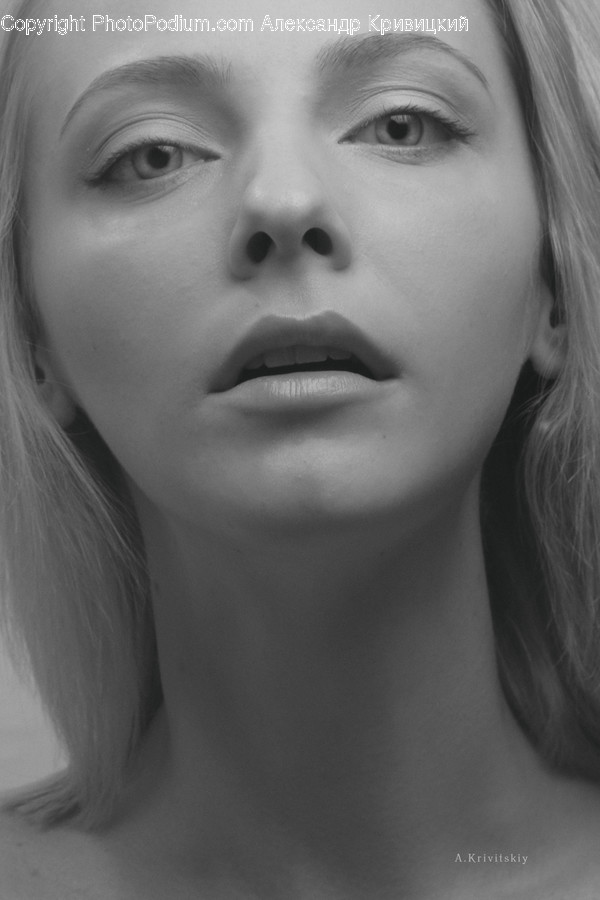 Human, Face, Person, Head, Portrait