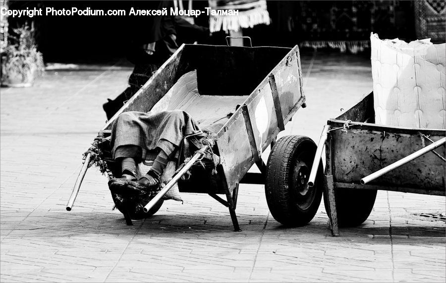Buggy, Carriage, Vehicle
