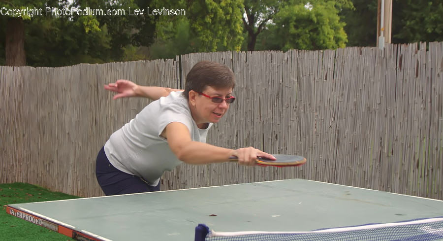 Person, Human, Sport, Sports, Ping Pong