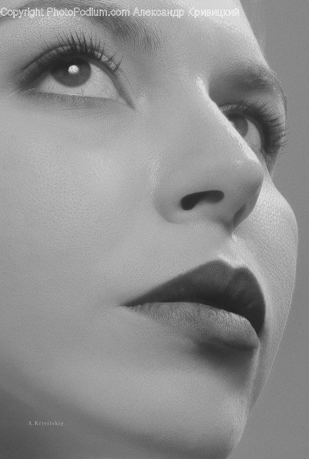 Face, Person, Human, Head, Skin