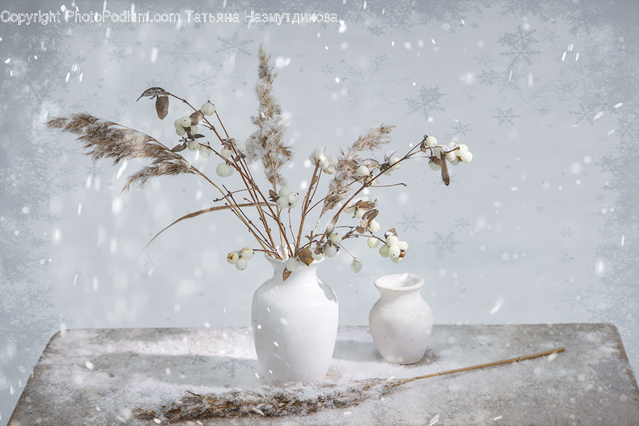Nature, Outdoors, Animal, Bird, Snow