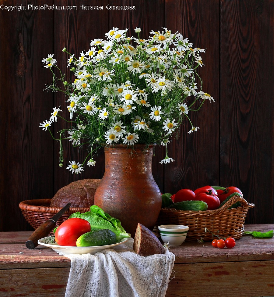 Plant, Blossom, Flower, Flower Bouquet, Flower Arrangement