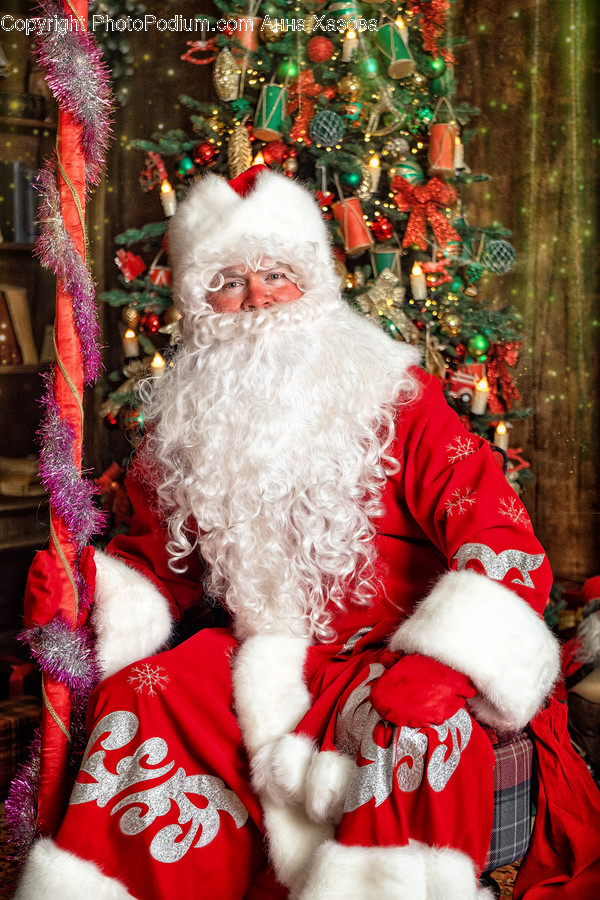 Face, Person, Human, Christmas Tree, Plant