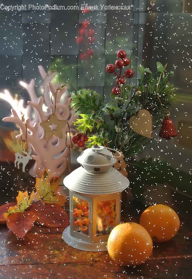 Plant, Fruit, Food, Produce, Outdoors