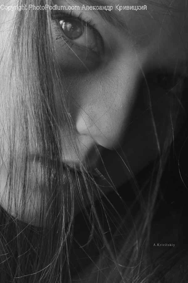 Person, Human, Face, Hair, Pet