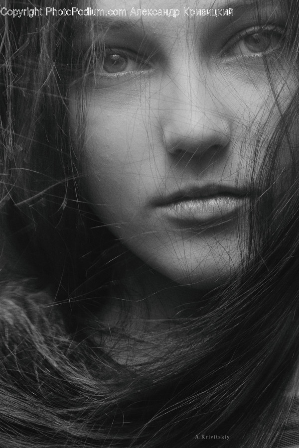 Face, Person, Human, Head, Portrait