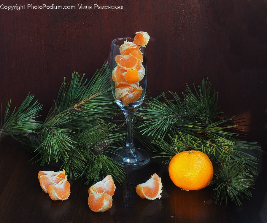 Plant, Glass, Goblet, Cocktail, Alcohol