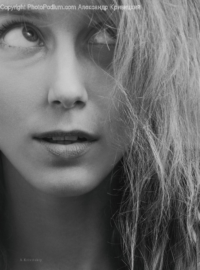 Face, Person, Human, Female, Portrait