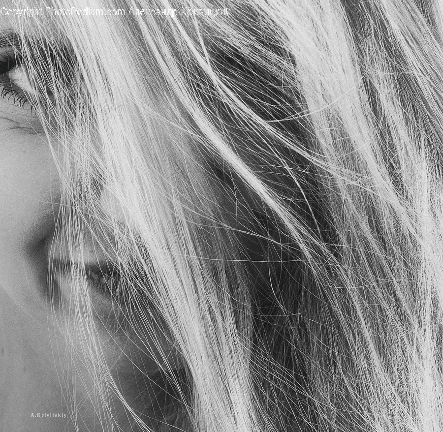 Face, Cat, Animal, Mammal, Pet