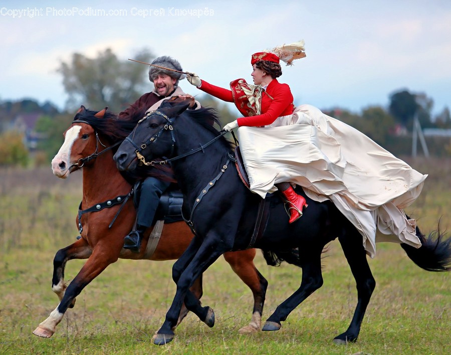 Equestrian, Horse, Person, Mammal, Animal