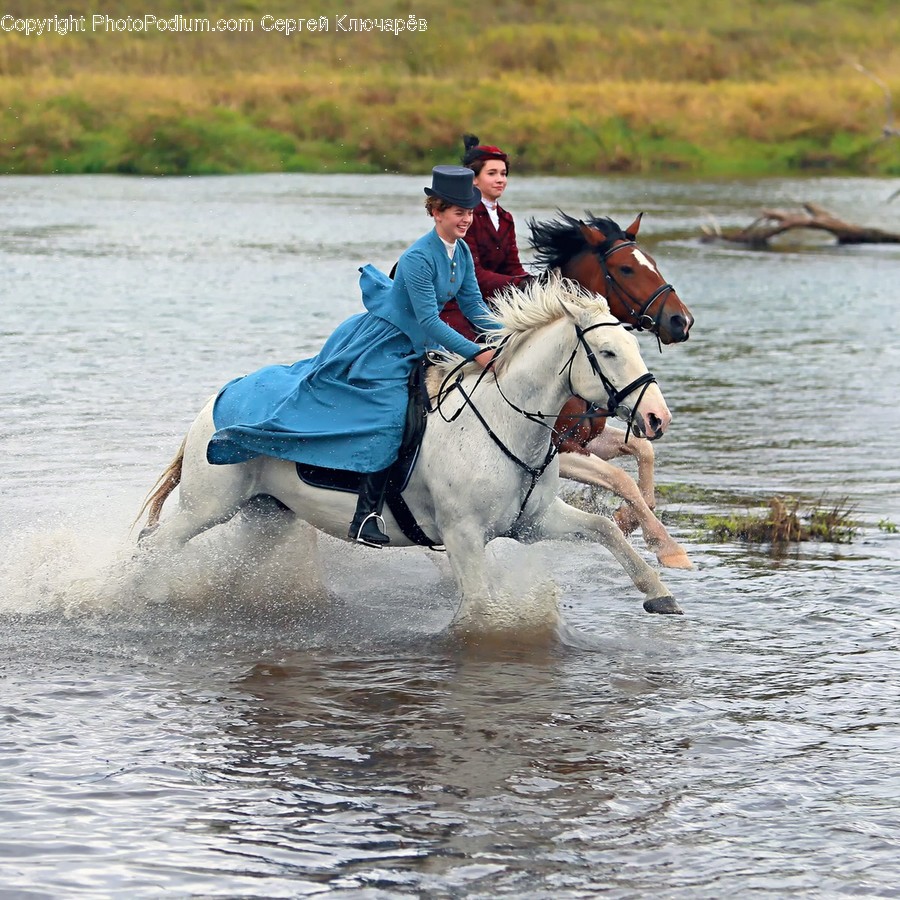 Person, Human, Equestrian, Horse, Mammal