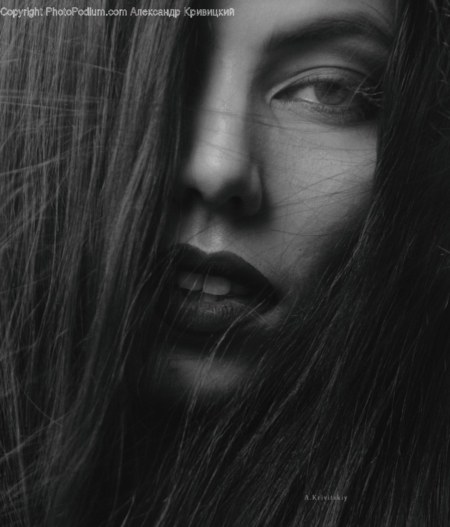 Face, Person, Human, Head, Portrait