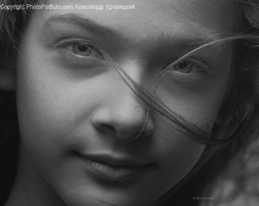 Face, Person, Human, Head, Portrait