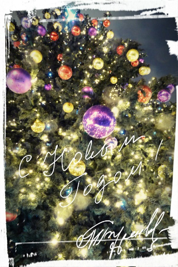 Christmas Tree, Tree, Ornament, Plant, Light