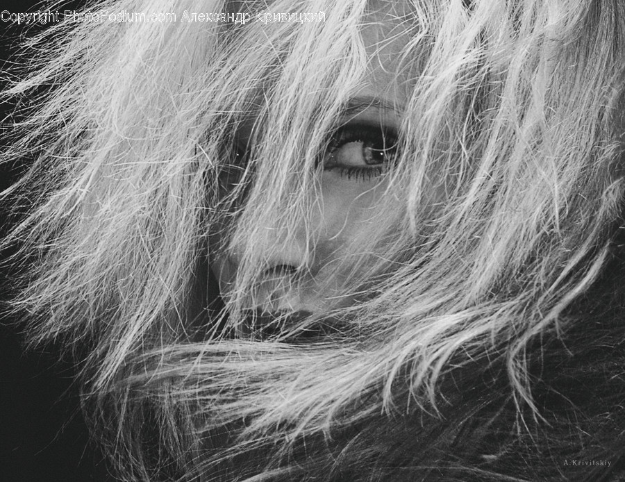 Face, Hair, Female, Portrait, Photography
