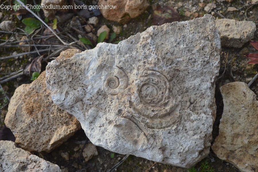 Rock, Soil, Rubble, Archaeology, Fossil