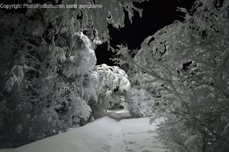Nature, Ice, Outdoors, Snow, Frost