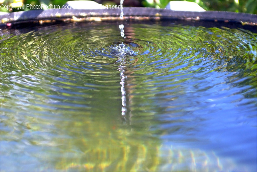 Outdoors, Water, Ripple, Nature, Bird