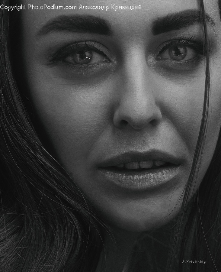Face, Person, Human, Head, Portrait